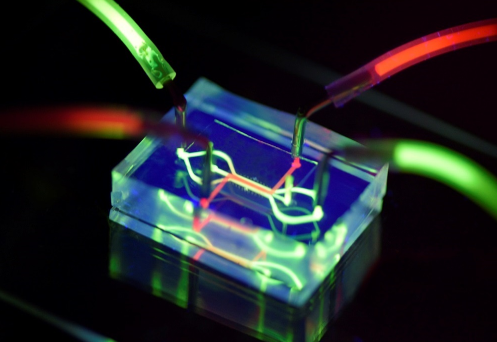 A plastic chip with glowing wires